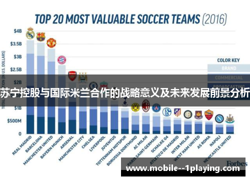 苏宁控股与国际米兰合作的战略意义及未来发展前景分析 苏宁控股与国际米兰合作的战略意义及未来发展前景分析