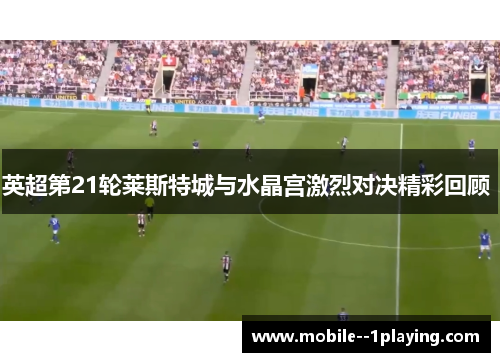 英超第21轮莱斯特城与水晶宫激烈对决精彩回顾 英超第21轮莱斯特城与水晶宫激烈对决精彩回顾