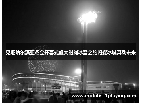 见证哈尔滨亚冬会开幕式盛大时刻冰雪之约闪耀冰城舞动未来