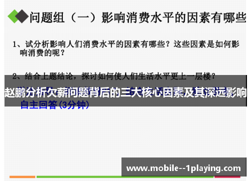 赵鹏分析欠薪问题背后的三大核心因素及其深远影响 赵鹏分析欠薪问题背后的三大核心因素及其深远影响
