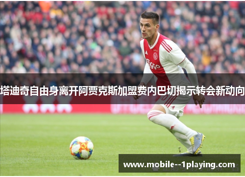 塔迪奇自由身离开阿贾克斯加盟费内巴切揭示转会新动向 塔迪奇自由身离开阿贾克斯加盟费内巴切揭示转会新动向