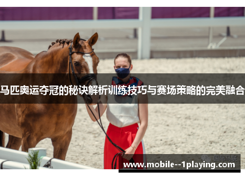 马匹奥运夺冠的秘诀解析训练技巧与赛场策略的完美融合 马匹奥运夺冠的秘诀解析训练技巧与赛场策略的完美融合