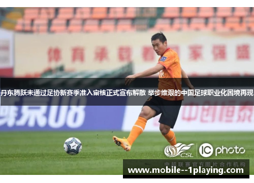 丹东腾跃未通过足协新赛季准入审核正式宣布解散 举步维艰的中国足球职业化困境再现 丹东腾跃未通过足协新赛季准入审核正式宣布解散 举步维艰的中国足球职业化困境再现